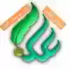 channel-profile