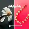 channel-profile