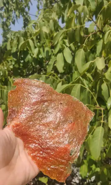 لواشک سنتی