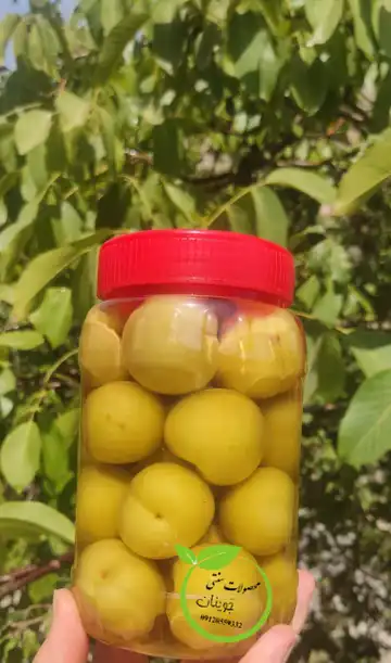 آلوچه(گوجه سبز)شور
