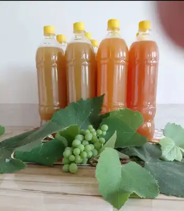 آبغوره طبیعی