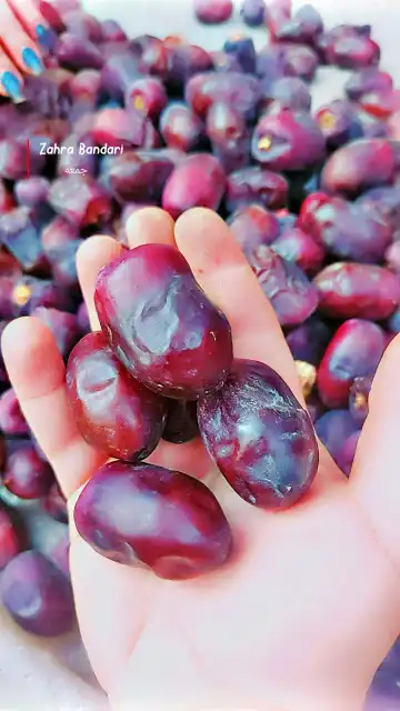 خرمای تازه مضافتی بم