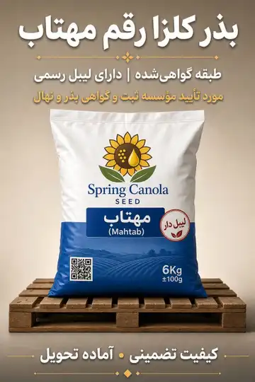 بذر کلزا رقم مهتاب ۵ کیلویی
