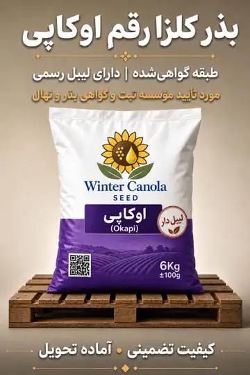 بذر کلزا رقم اوکاپی ۵ کیلویی