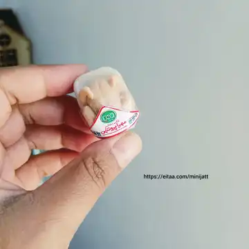 مگنت بسته گوشت مرغ