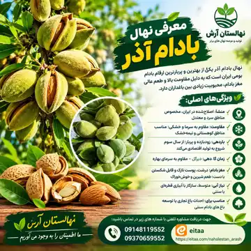 نهال بادام آذر
