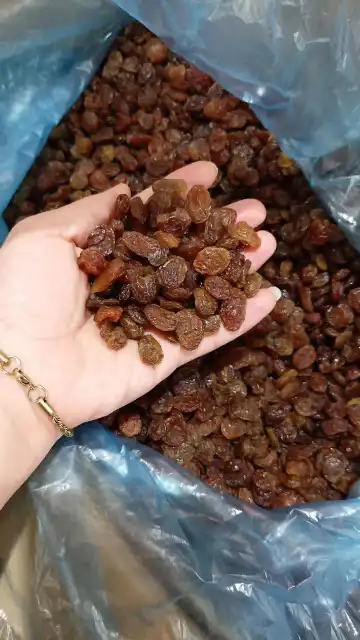 انگور
