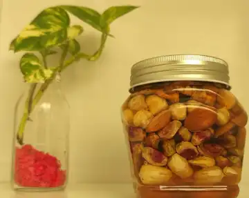 معجون شش مغز عسلی