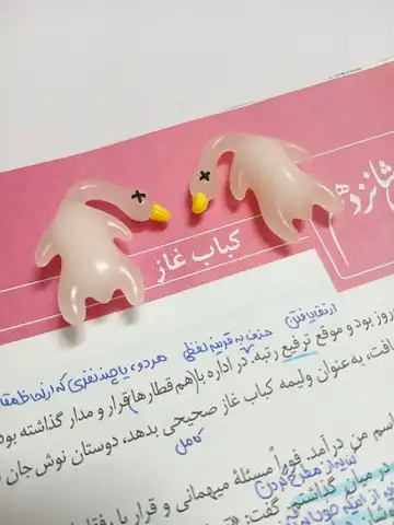 آویز غاز کبابی