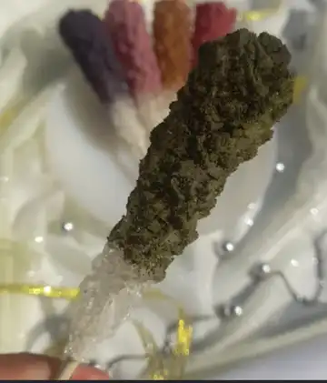 نبات چوبی دمنوشی