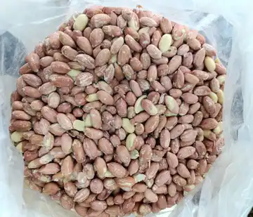 بادام زمینی آستانه