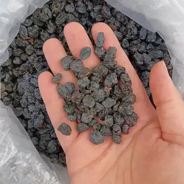 مویز سیاه ایرانی