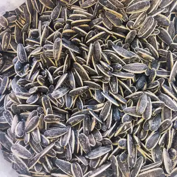 تخمه کانادایی اعلاء