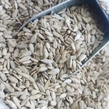 مغز تخمه آفتابگردان
