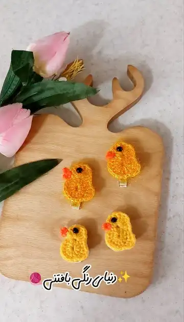 گلسر جوجه 🐤🐤