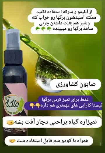 جلاتن ملکه یا صابون رقیق شده کشاورزی