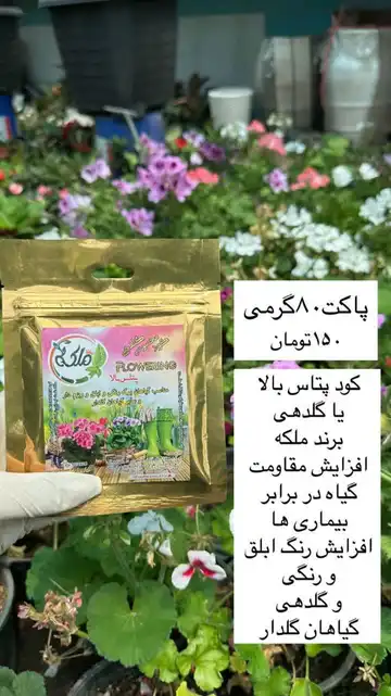 کود گلدهی یا پتاس بالا ملکه