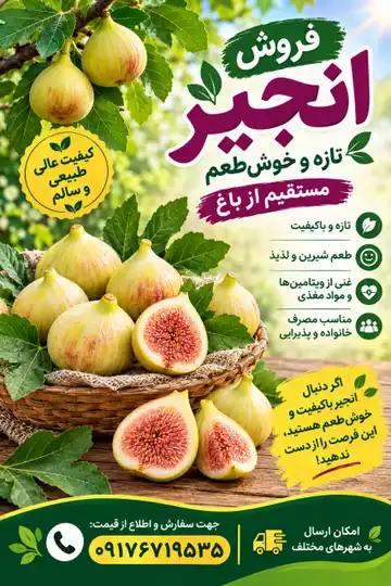 انجیر خشک اعلای استهبان