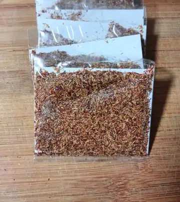 زعفران نرمه اعلا گناباد