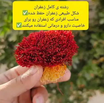 زعفران دختر پیچ
