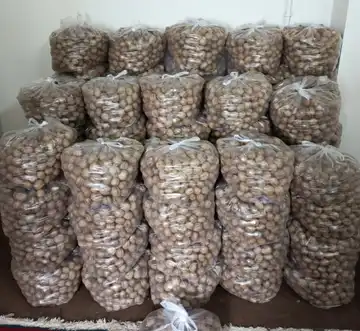 گردوی درجه یک