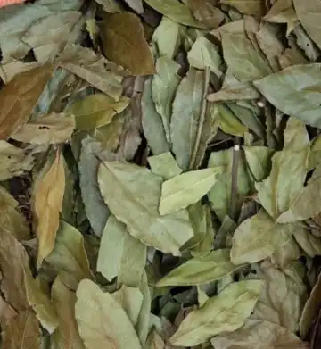 برگ بو اعلا  |  راز خوش طعم شدن غذاها