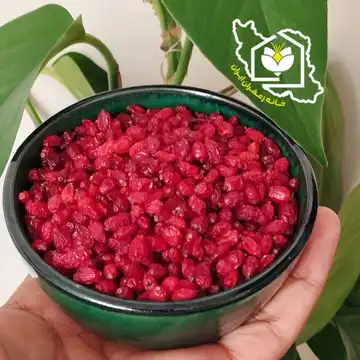 زرشک پفکی قائنات«بدون آب و روغن»