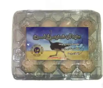 روشور شتر مرغ