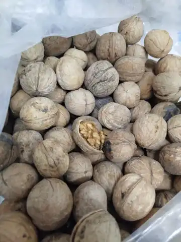 گردو کاغذی درجه یک