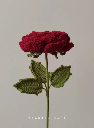 گل بافتنی | پیونی