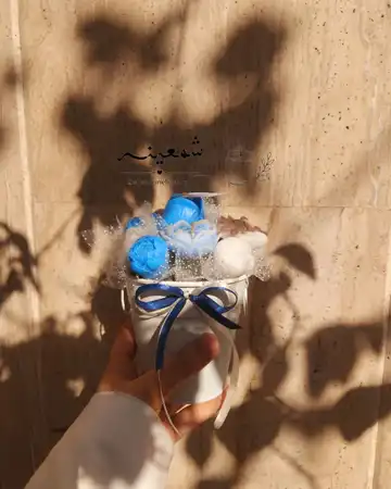 باکس گل جاودان ابی
