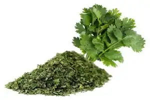 گشنیز خشک طبیعت 