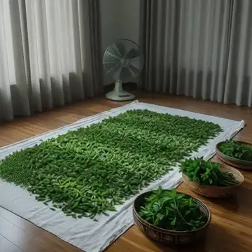نعنا برگ بومی درجه یک 