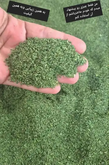 نعنا بومی اعلا 