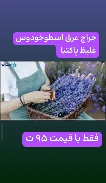 عرق غلیظ اسطوخودوس پاکتیا