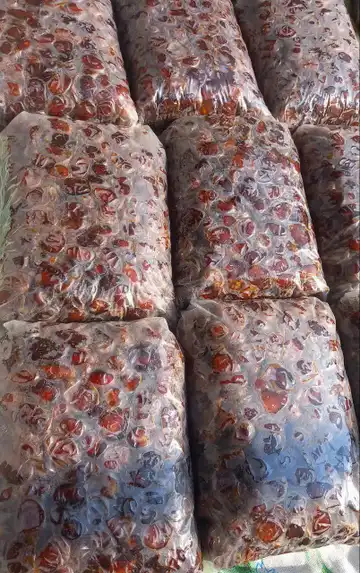خرمای برحی وکیوم‌شده