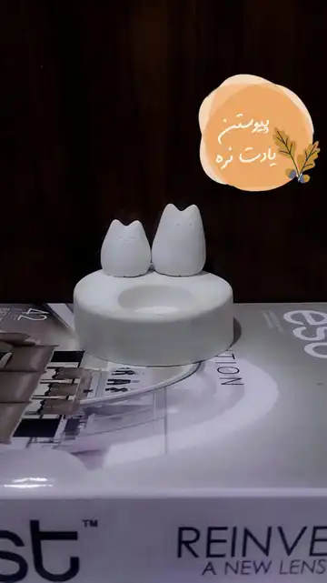 جا وارمر گربه