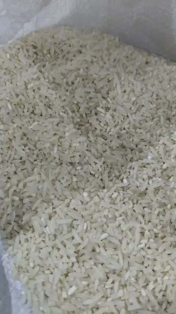 برنج سرلاشه هاشمی درجه یک
