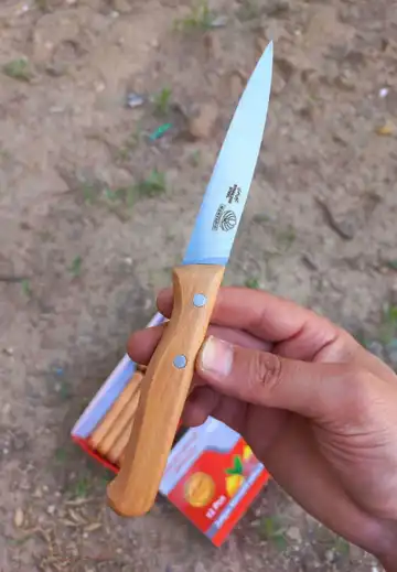 چاقو دم دستی دسته چوبی مروارید ضد زنگ