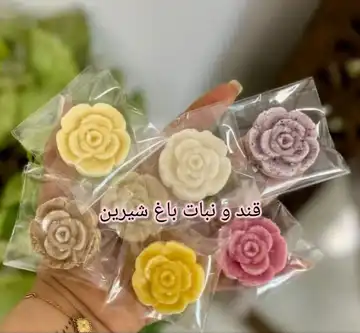 نبات دمنوشی گل رز