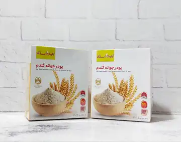 پودر جوانه گندم بین استار