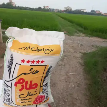 برنج طارم هاشمی ۵ ستاره ممتاز