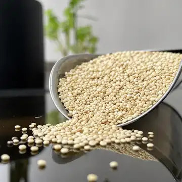 دانه کینوا یا خاویار گیاهی درجه یک