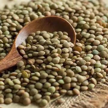 عدس ریز فروشگاه حبیب _ 900گرم