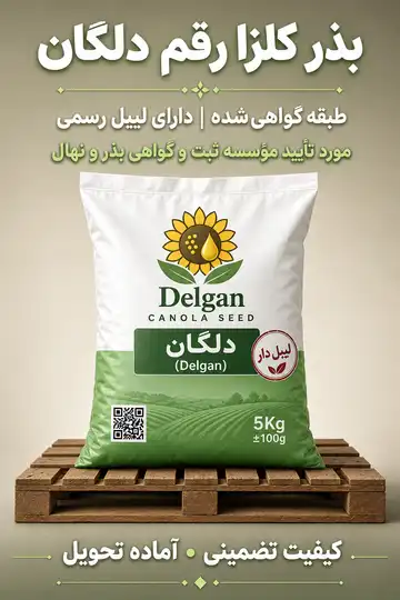 بذر کلزا رقم دلگان ۵ کیلویی