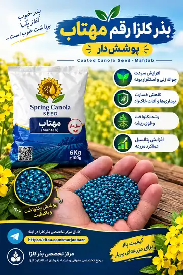 بذر کلزا رقم مهتاب پوشش دار ۵ کیلویی