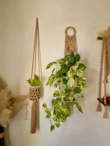 آویز گلدان