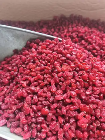 زرشــــک پفکــــی
