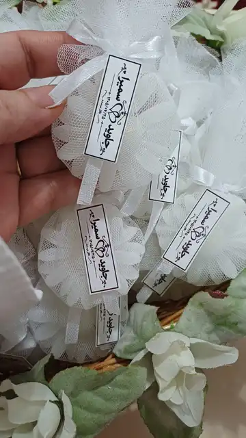 گیفت بابونه
