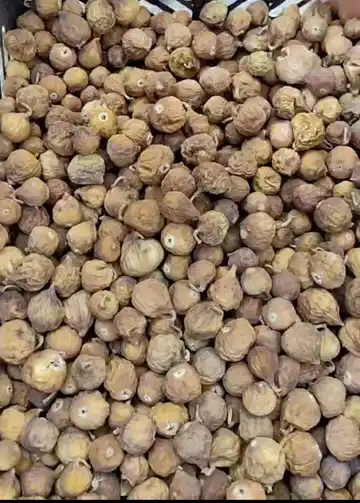 انجیر شکلاتی مخلوط ارگانیک استهبان